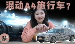 a4最新爆料,揭秘行业背后惊人内幕